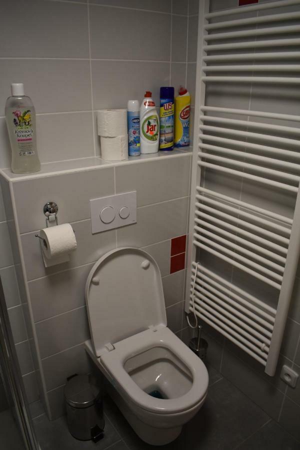 Apartma Fara Loučná nad Desnou Zewnętrze zdjęcie